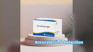 IL-6 ELISA Kit 96 Menguji Deteksi Akurat