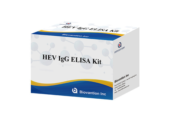 HEV Human Igg Elisa Kit Diagnostik Untuk IgG Antibodi Terhadap Virus Hepatitis E