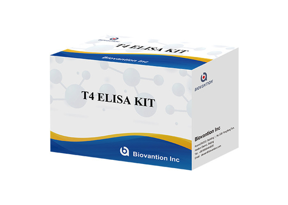 Thyroxine T4 Elisa Detection Kit Deteksi akurat tinggi Penggunaan rumah sakit dan laboratorium