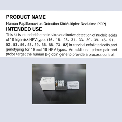 Kit Deteksi Papillomavirus Manusia Multiplex Real Time PCR