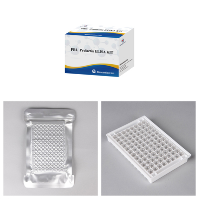 Sensitivitas dan Spesifisitas IVD Elisa Test Serum Sample Enzyme Linked Immunosorbent Assay Test Kit
