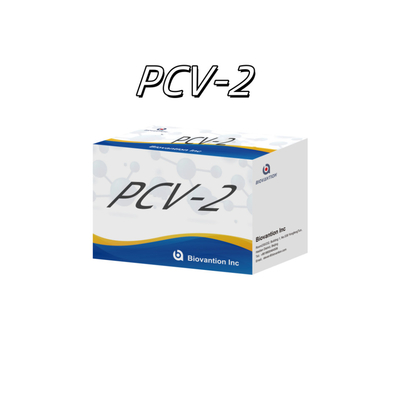 Tes WB/S/P PCV-2 ELISA untuk Reagen Veterinar Antibodi Hewan