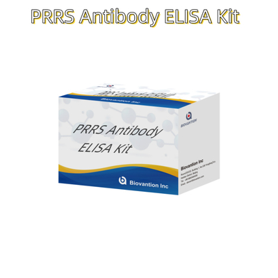 Tes ELISA untuk hewan PRRSV Antibodi PRRS babi Antibodi hewan Reagen ivd