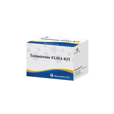 Tes diagnostik penyakit manusia Test osterone Elisa Test Kit dengan 96 tes untuk rumah sakit