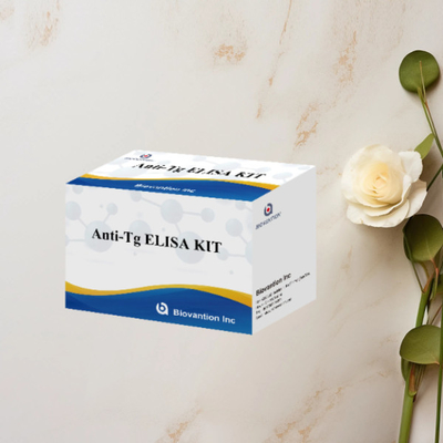 Anti-Tg ELISA Test Kit Thyroglobulin Ab In Vitro Penentuan Kuantitatif
