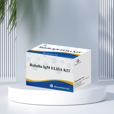 Elisa Test Kit Untuk Rubella Alat Deteksi IgM Untuk Rubella IgG Antibodi Dalam Penggunaan Manusia
