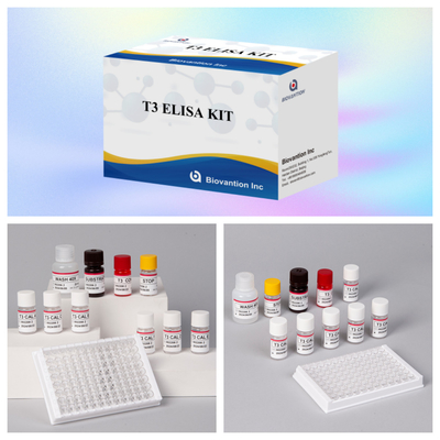 Kit Uji Elisa T3 yang Dapat Disesuaikan untuk Kuantifikasi Akurat dan Biomarker