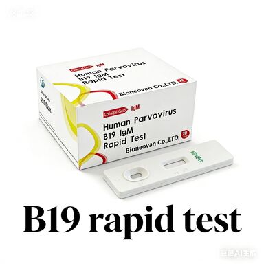One Step Colloidal Gold Rapid Test For IgM Antibody To Human Parvovirus B19