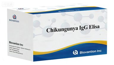 One Step Chikungunya IgG/IgM Rapid Test Cassette For In Vitro Diagnostic Use