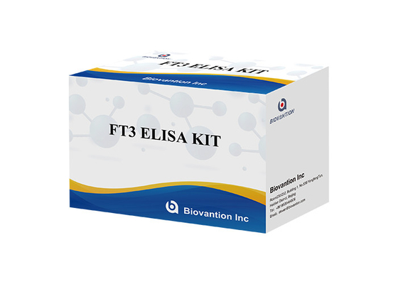 Untuk Laboratorium atau Rumah Sakit High Accuracy Follicle-Stimulating Free Triiodothyronine Elisa Test Kit