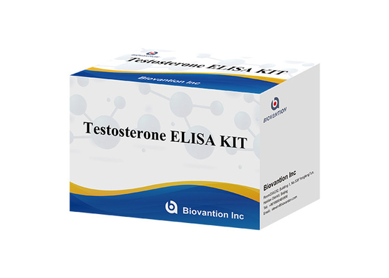 Laboratorium atau Rumah Sakit High Precision Ferr Testosteron Free Tes ELISA Test Kit