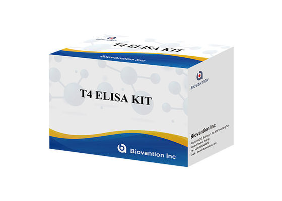 Kit Deteksi Elisa Tiroksin T4