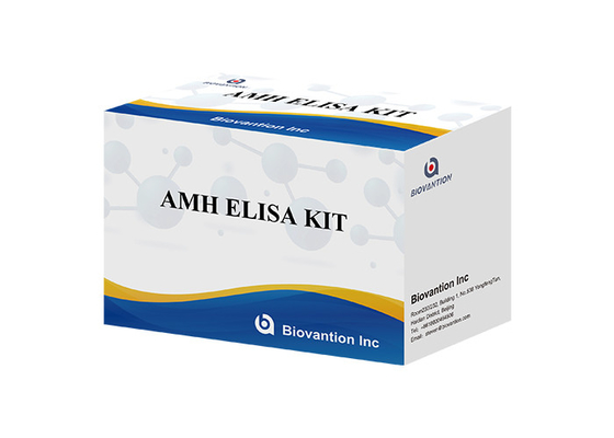 Laboratorium atau Rumah Sakit High Precision Human Anti-Mullerian Hormone AMH ELISA