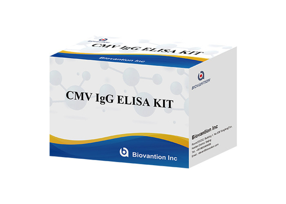 Laboratorium atau Rumah Sakit Keakuratan Tinggi CMV IgG ELISA TEST KIT Elisa Test Kit