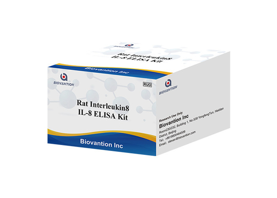 Tikus IL-8 Interleukin 8 Elisa Kit CXCL8 Elisa Test Kit Kemokin (Motif C-X-C) Ligan 8