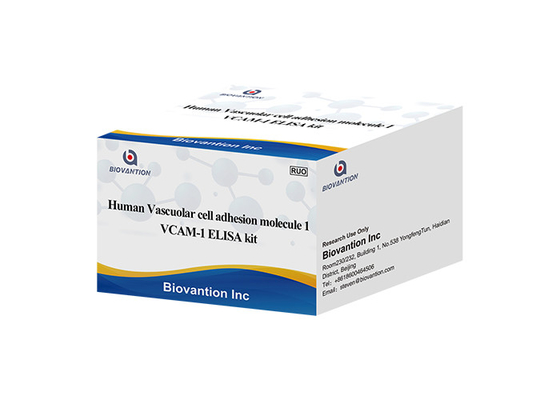 VCAM1 CD106 ELISA RUO Test Kit Untuk Molekul Adhesi Sel Vaskular Manusia