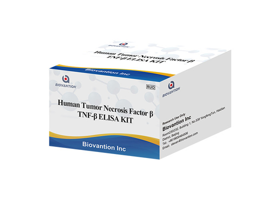 TNFB TNFSF1 Lymphotoxin Alpha LTA ELISA KIT Faktor Nekrosis Tumor Manusia Beta