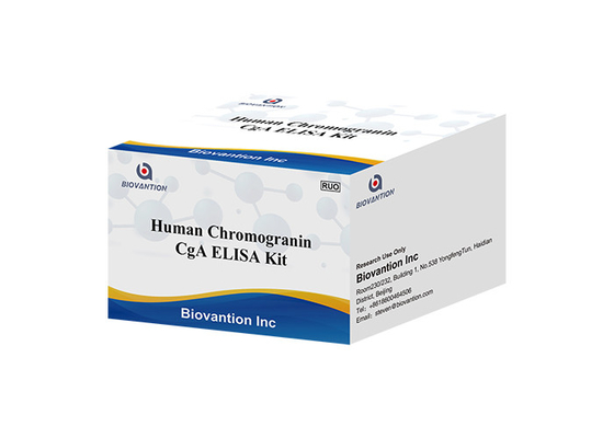 CgA ELISA RUO Test Kit Human Chromogranin A Elisa Kit Pituitary Secretory Protein I