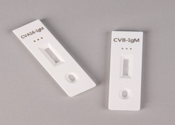 Rumah Sakit, Pusat Medis, Self High Precision Salmonella Antigen Rapid Test Cassette Paket Inser Rapid Test Kit