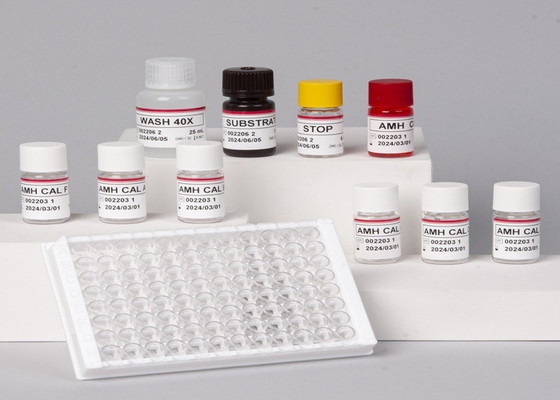 Keakuratan Tinggi Untuk Laboratorium Atau Rumah Sakit Keakuratan Tinggi RUO Human Pro-BNP Elisa Test Kit