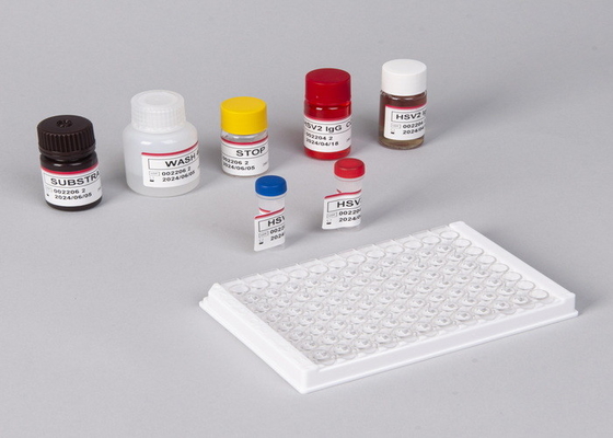 Untuk Laboratorium atau Rumah Sakit Beta-Human Chorionic Gonadotropin Elisa Test Kit