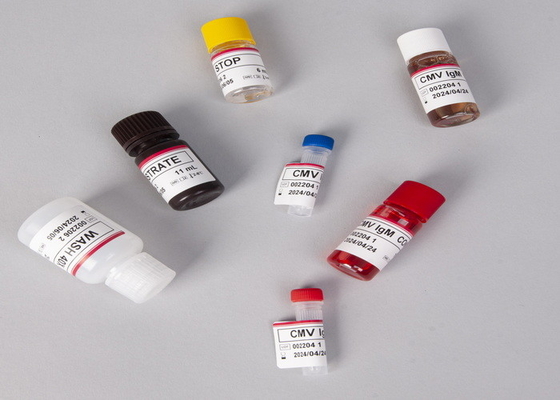 Untuk Laboratorium atau Rumah Sakit Antibodi Untuk Virus Hepatitis C Elisa Test Kit
