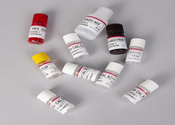 Laboratorium atau Rumah Sakit High Precision Ferr Testosteron Free Tes ELISA Test Kit