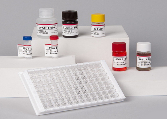 Keakuratan Tinggi Untuk Laboratorium Atau Rumah Sakit Keakuratan Tinggi RUO Human TNF-α Elisa Test Kit