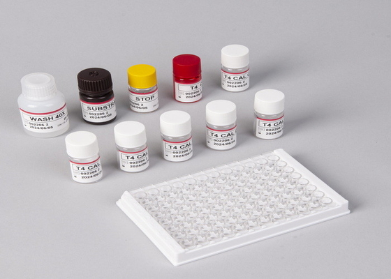 Untuk Laboratorium atau Rumah Sakit High Accuracy H.Pylori IgG Elisa Test Kit