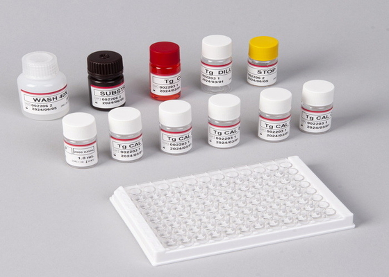 Untuk Laboratorium atau Rumah Sakit Keakuratan Tinggi Beta-Human Chorionic Gonadotropin Elisa Test Kit