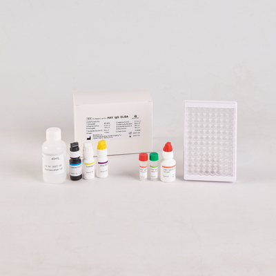 Kit Elisa TNF-α manusia untuk RUO Test Kit/ Human tumor necrosis factor Elisa Kit
