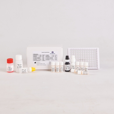 Untuk Laboratorium atau Rumah Sakit High Accuracy H.Pylori IgG Elisa Test Kit