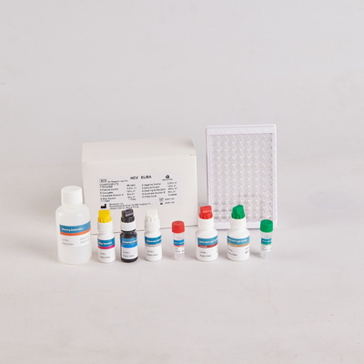 Kit Elisa PTH Manusia/Kit Elisa Hormon Paratiroid Manusia untuk RUO dengan 96 Tes