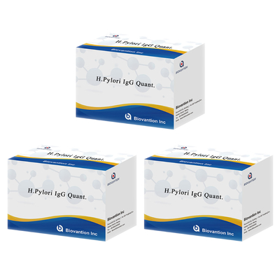 H.Pylori IgG Quant. Elisa kit Asal Elisa Test Kit Format Kit dari Biovantion