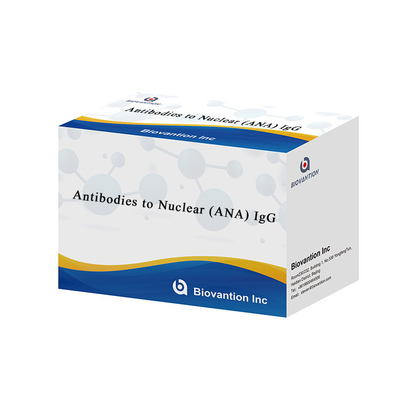 Antibodi terhadap IgG ELISA Nuclear (ANA)