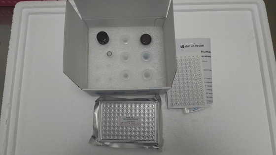 Human insulin-like growth factor-1 ELISA Kit for Research Use Only/ IGF-1 Elisa Kit Untuk Penelitian Saja