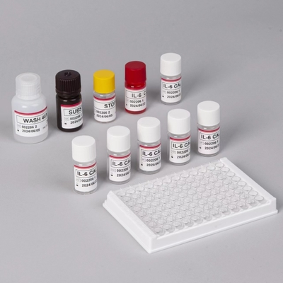 IL-6 Interleukin 6 Elisa Test Kit dengan Waktu Pengukuran 2-3 Jam Biovansi Serum / Plasma Format 18 Bulan Shelf Life