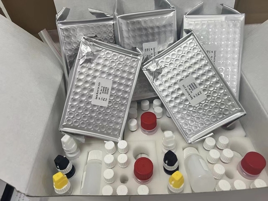 11-dehydro-thromboxane B2 11dhTxB2 ELISA Test Kit IVD Keakuratan Tinggi Dan Operasi Sederhana