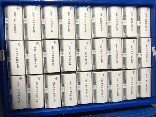 Enzim Immunoassay Reagents Elisa Test Kit untuk Deteksi Hepatitis C Virus (HCV) Antibodi
