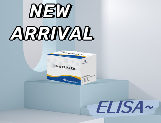 Diagnosis HBsAg yang akurat dalam 2-3 jam dengan Kit Tes Immunosorbent Terkait Enzim
