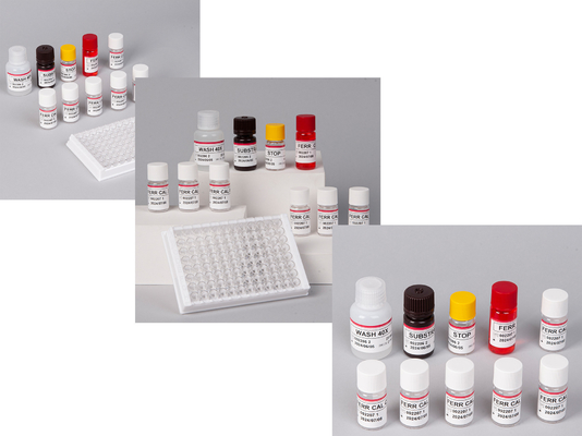 Laboratorium atau Rumah Sakit High Precision Human Ferritin FE ELISA TEST KIT