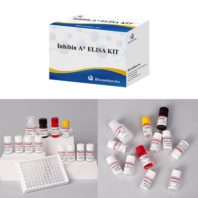 Laboratorium atau Rumah Sakit Tinggi Precision Inhibin A Diagnosis Elisa Test Kit
