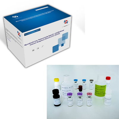 Kit Tes ELISA IGRA yang Mudah untuk TB dengan Masa Pelayaran yang Panjang dan Metode Konservasi 2C-8C