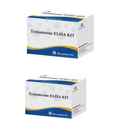 Hormon seks pria Hormon testosteron (kuantitatif) Elisa Test Kit Untuk Diagnosis