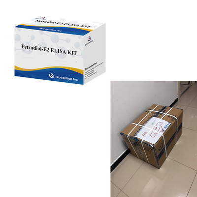 Untuk Laboratorium atau Rumah Sakit High Accuracy Estradiol Elisa Test Kit