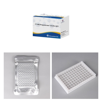 17-OH Progesteron Eluting In Vitro Diagnostic Elisa Test Kit Untuk Wanita Dengan Aksesoris Tes yang Tepat