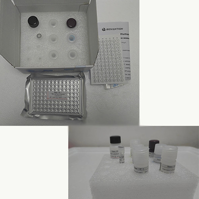 Vitamin E Elisa Test Kit Of Enzyme-Linked Product RESEARCH USE ONLY Test pada hewan