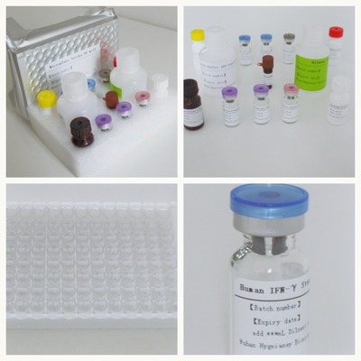 Mycobacterium Tuberculosis Spesifik Sel T Mediated Immun Response Detection Elisa Test Kit