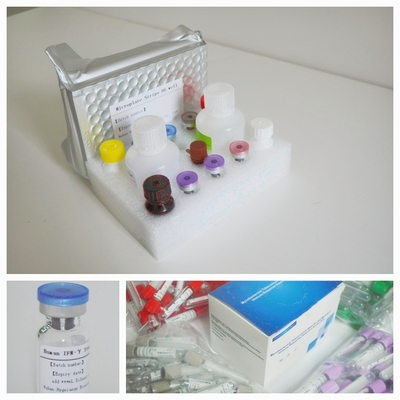 Mycobacterium Tuberculosis Spesifik Sel T Mediated Immun Response Detection Elisa Test Kit