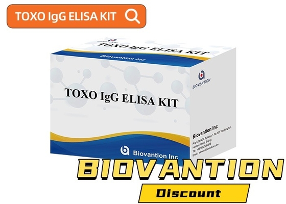 TOXO Ig G Sensitive and Specific Elisa Test Kit untuk Pemantauan Penyakit